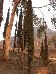 DSCN0063