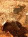 DSCN0078