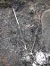 DSCN0085