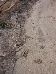 DSCN0097