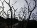DSCN0112